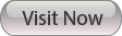 Visit the website now button